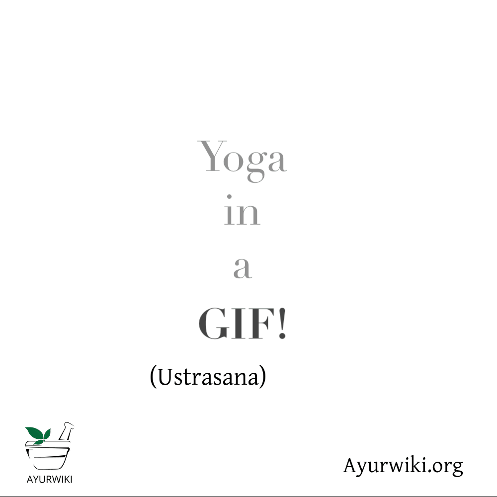 Ustrasana.gif