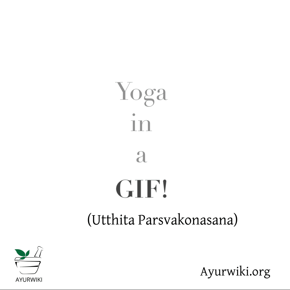 Utthita Parsvakonasana.gif