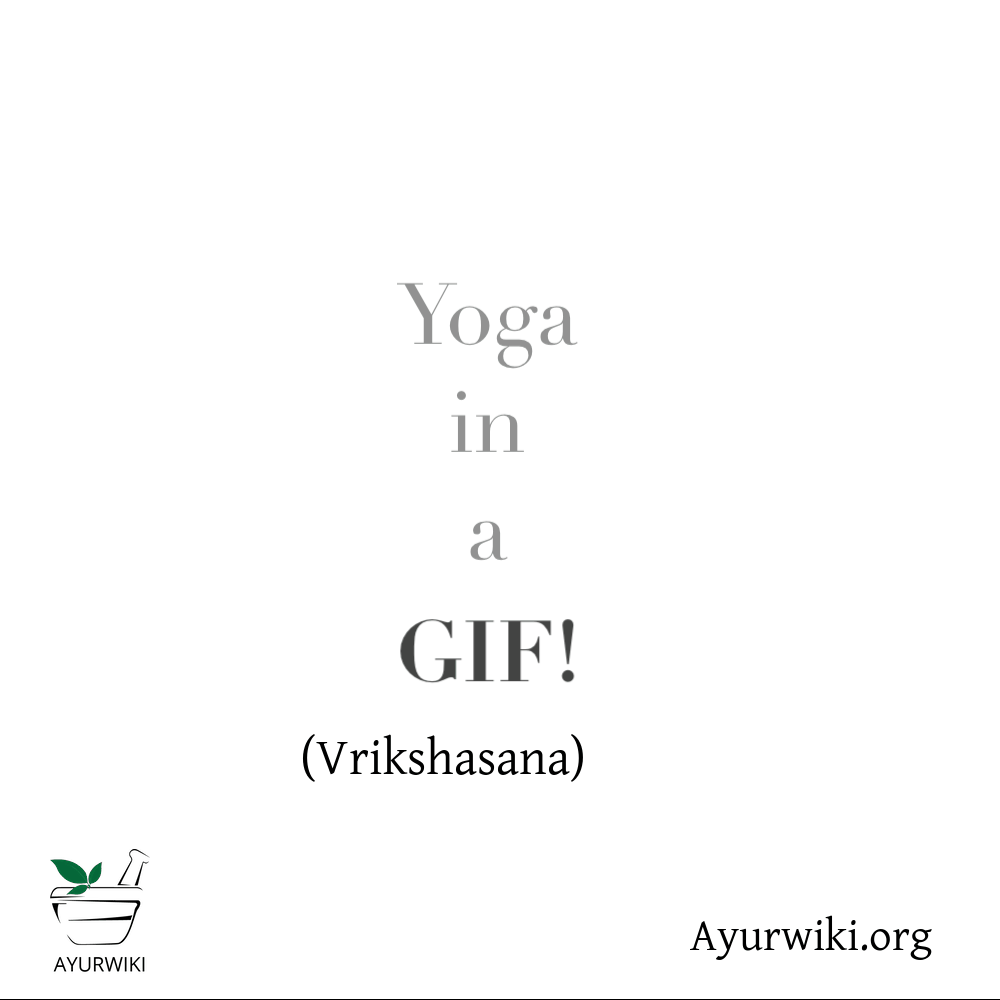 Vrkshasana gif