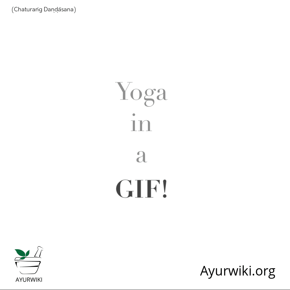 Chaturaṅga DaṇdĀsana