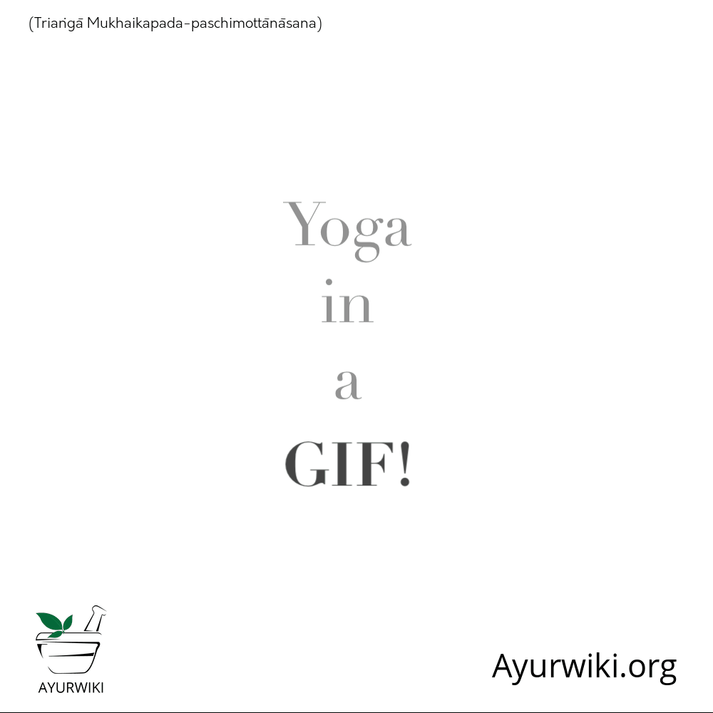 Triaṅgā Mukhaikapada-Paschimottānāsana