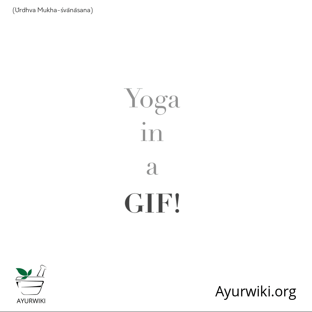Ūrdhva Mukha-Śvānāsana