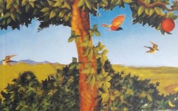 Social Life of Plants - Front cover of book