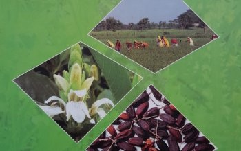 Demand & Supply of Medicinal Plants in India