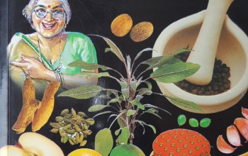 Dadi Maa's Home Remedies - Book Cover