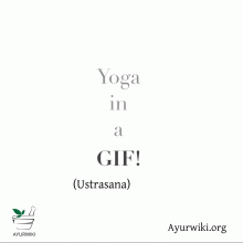 Ustrasana.gif