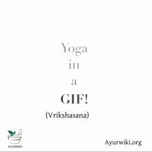 Vrkshasana gif