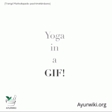 Triaṅgā Mukhaikapada-Paschimottānāsana